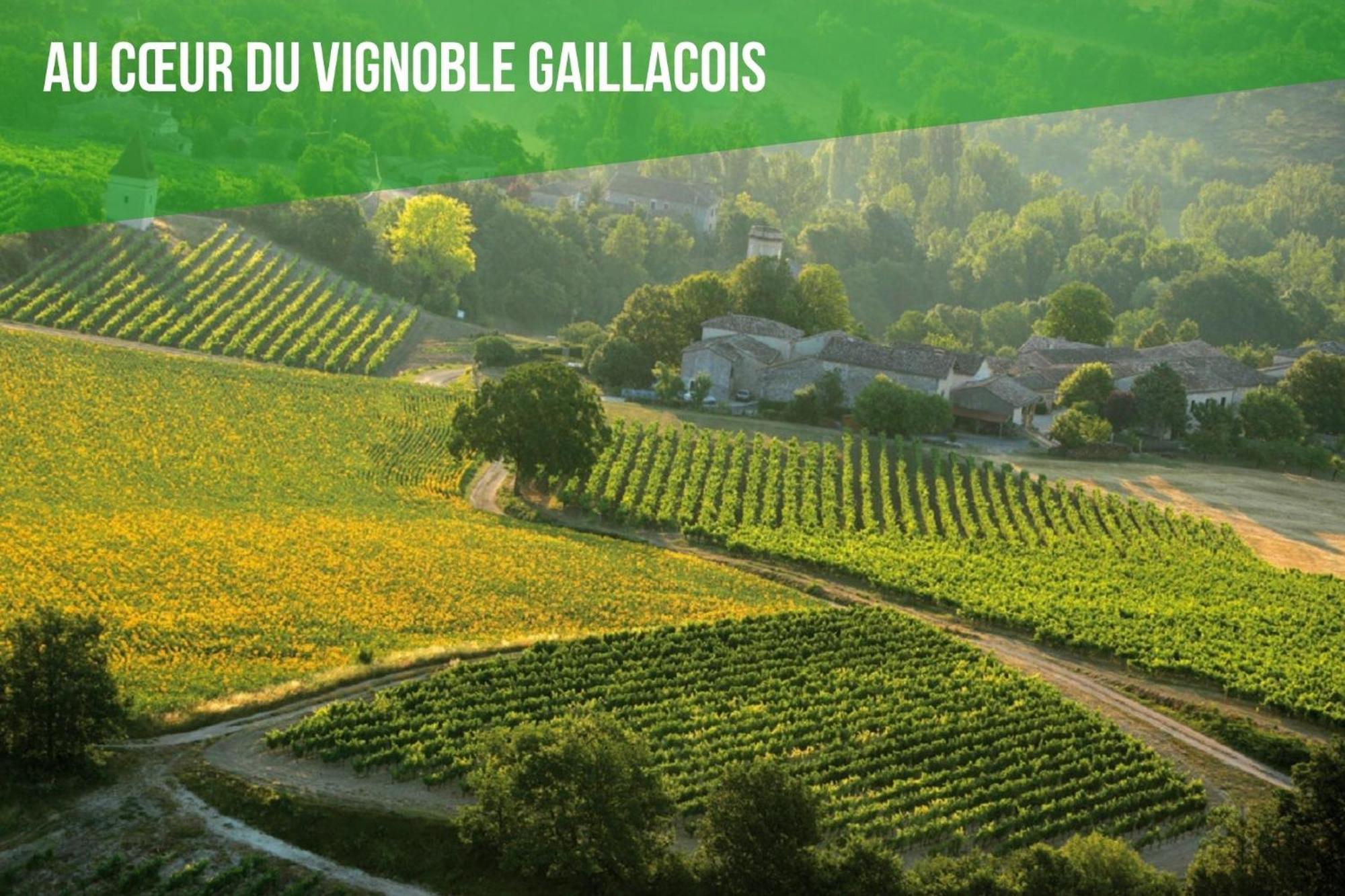 Le Cottage Nature Vigne Rouge Sauna Gaillac Entre Albi-Toulouse & Les Cottages Du Tarn Brens  Kültér fotó